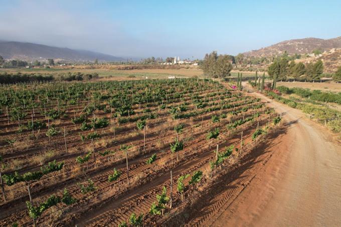 Casa Luna Vinedo Valle de Guadalupe Exteriör bild